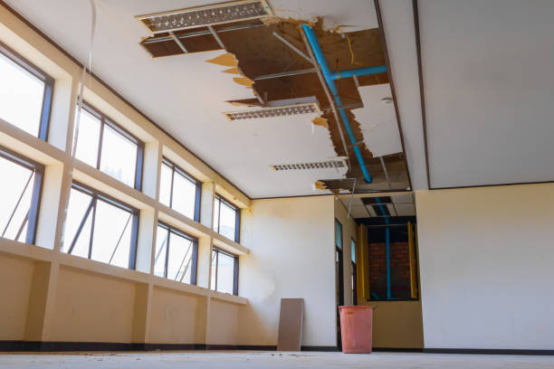 Best 24-hour water damage restoration  in Gumlog, GA