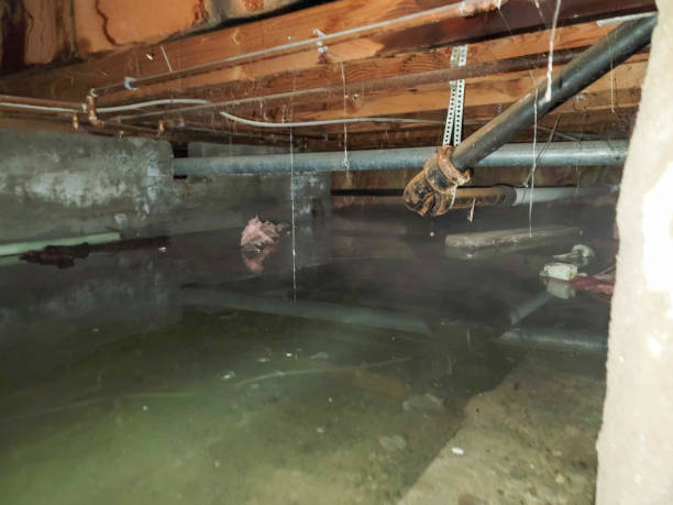 Best 24-hour water damage restoration  in Gumlog, GA