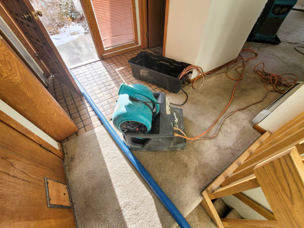 Best Residential water damage restoration  in Gumlog, GA
