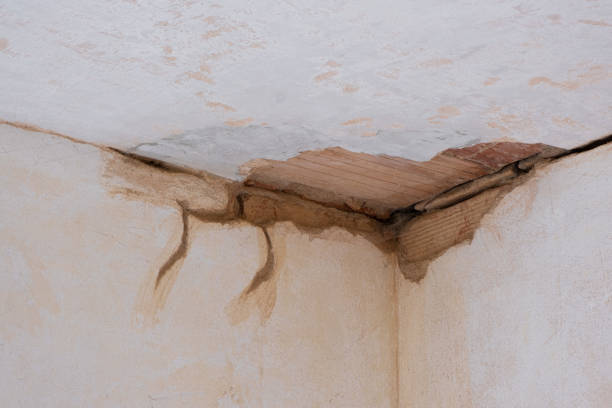 Best Carpet water damage restoration  in Gumlog, GA