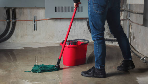 Best Basement water damage restoration  in Gumlog, GA