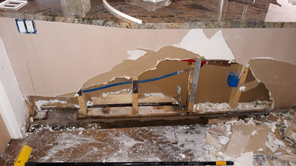 Best Flood damage cleanup  in Gumlog, GA