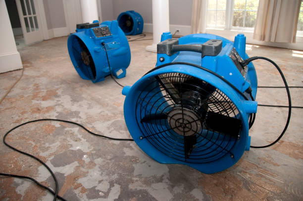 Best Carpet water damage restoration  in Gumlog, GA