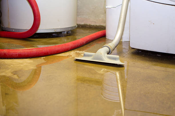 Best Flood restoration services  in Gumlog, GA