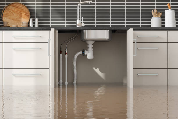 Best Local water damage restoration  in Gumlog, GA