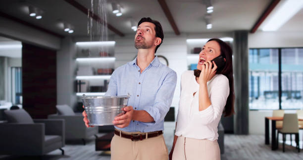 Best Flooded house restoration  in Gumlog, GA